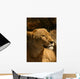 Lion Wall Mural