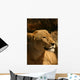 Lion Wall Mural