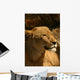 Lion Wall Mural
