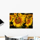 Tuscan Sunflowers Wall Decal