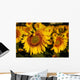 Tuscan Sunflowers Wall Decal
