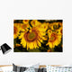 Tuscan Sunflowers Wall Decal