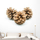 Pinecones Wall Decal
