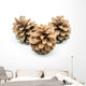 Pinecones Wall Decal