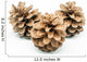 Pinecones Wall Decal