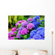 Hydrangeas in a Garden Wall Mural
