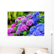 Hydrangeas in a Garden Wall Mural