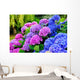 Hydrangeas in a Garden Wall Mural