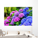 Hydrangeas in a Garden Wall Mural