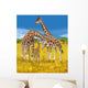 Giraffes 