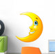 Smiling Moon 