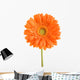 orange flower Wall Decal