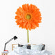 orange flower Wall Decal