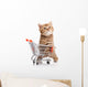 British Cat With Shopping Cart 