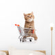 British Cat With Shopping Cart 