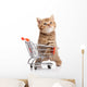 British Cat With Shopping Cart 