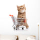 British Cat With Shopping Cart 