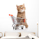 British Cat With Shopping Cart 