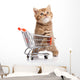 British Cat With Shopping Cart 