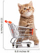 British Cat With Shopping Cart 