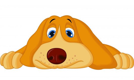 Cute Dog Lying Down 