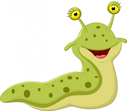 Cute Slug 