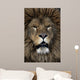 Barbary lion, Panthera leo leo Wall Mural