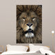 Barbary lion, Panthera leo leo Wall Mural