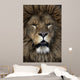Barbary lion, Panthera leo leo Wall Mural