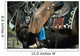  a day in the saddle Wall Mural