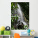 Waterfall in Puerto Rico Wall Mural