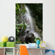 Waterfall in Puerto Rico Wall Mural