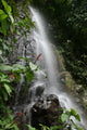 Waterfall in Puerto Rico Wall Mural