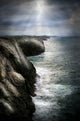 Natural Paradise Wall Decal