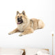 Eurasier Wall Decal