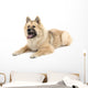 Eurasier Wall Decal