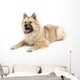 Eurasier Wall Decal