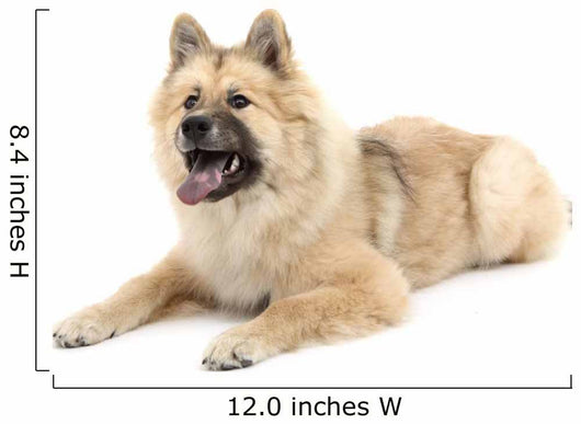 Eurasier Wall Decal