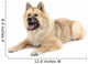 Eurasier Wall Decal
