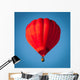 Hot air balloon 