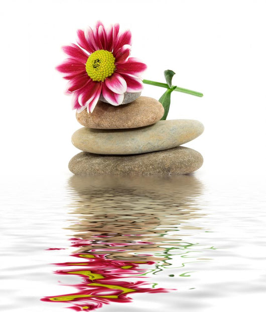 zen spa stones with flowers 
