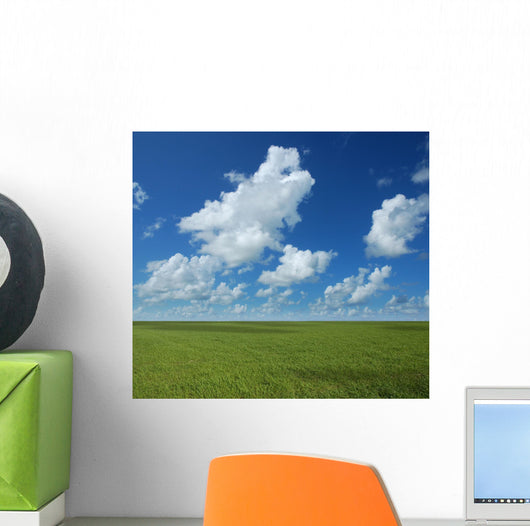 Perfect Horizon Wall Mural