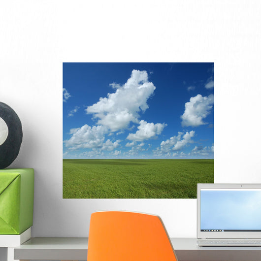 Perfect Horizon Wall Mural