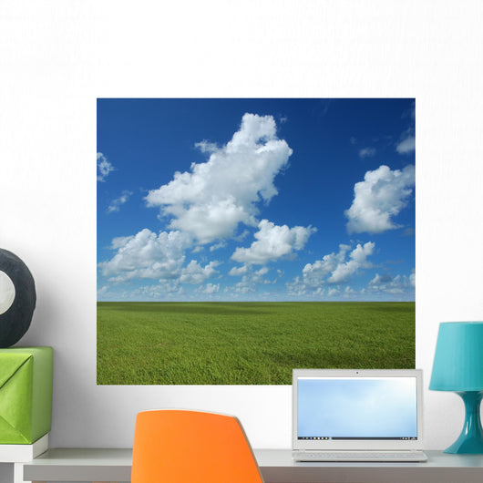 Perfect Horizon Wall Mural