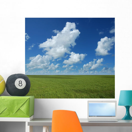 Perfect Horizon Wall Mural