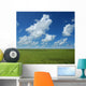 Perfect Horizon Wall Mural