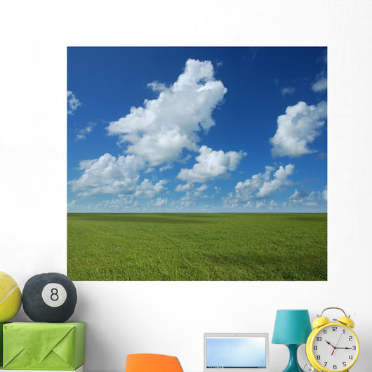 Perfect Horizon Wall Mural