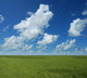 Perfect Horizon Wall Mural