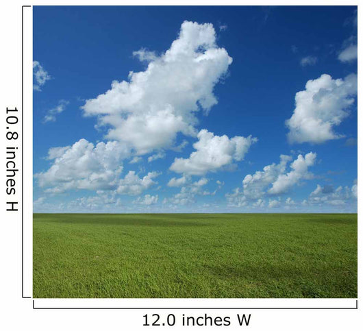 Perfect Horizon Wall Mural