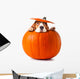 beagle in pumpkin 